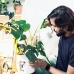 6 Indoor Plant Care Tips to Thrive for Spring Success