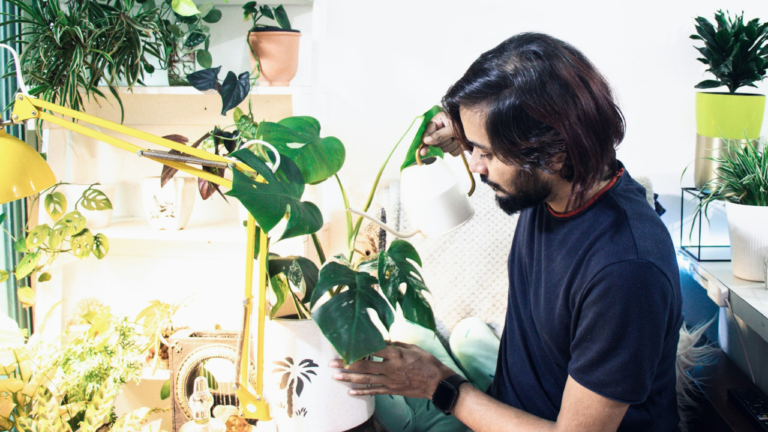 6 Indoor Plant Care Tips to Thrive for Spring Success